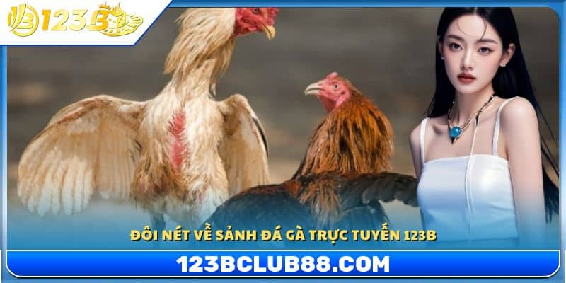 Vài nét về sảnh đá gà trực tuyến 123 B